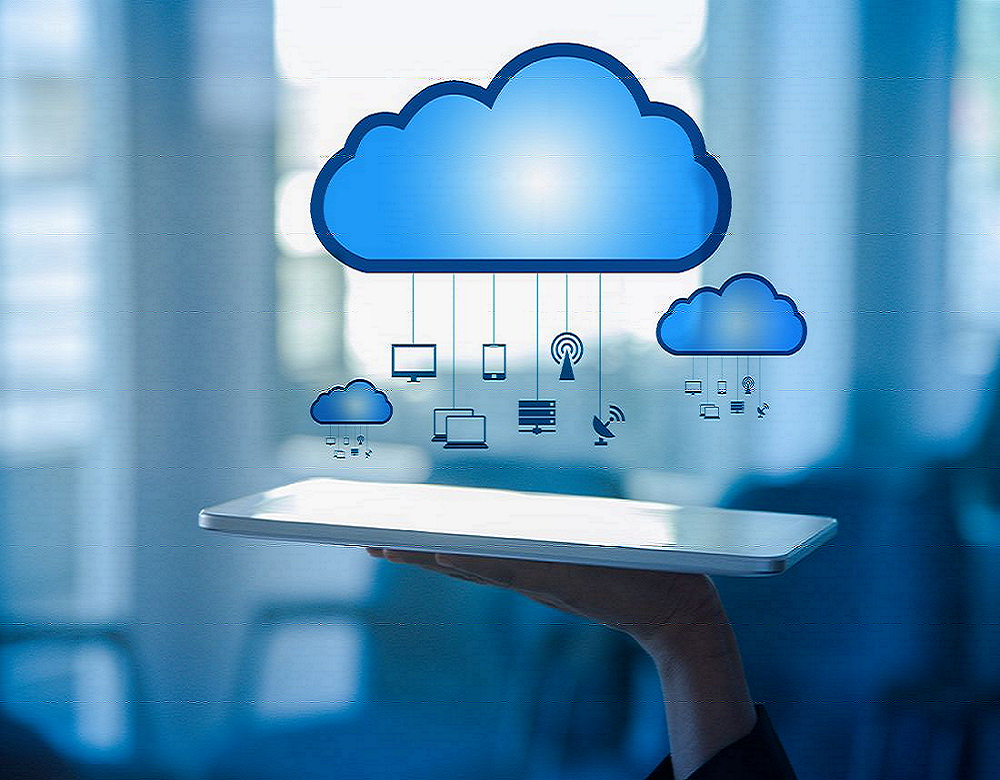 Web Development Services